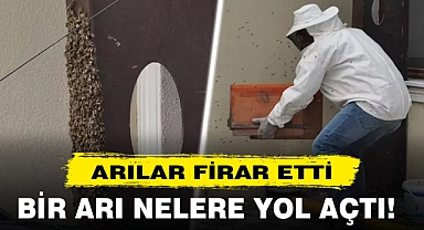 ARILAR FİRAR ETTİ