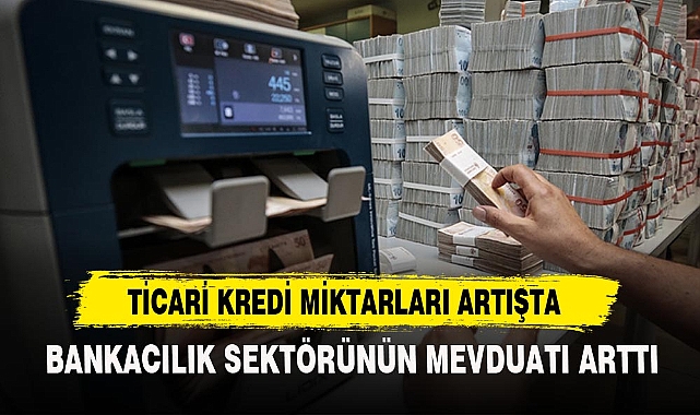 BANKACILIK SEKTÖRÜNÜN MEVDUATI ARTTI
