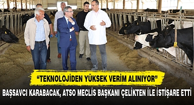 BAŞSAVCI KARABACAK, ATSO MECLİS BAŞKANI ÇELİKTEN İLE İSTİŞARE ETTİ