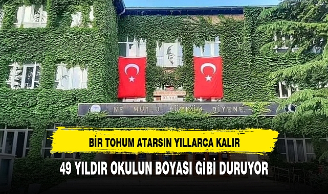 BİR TOHUM ATARSIN YILLARCA KALIR