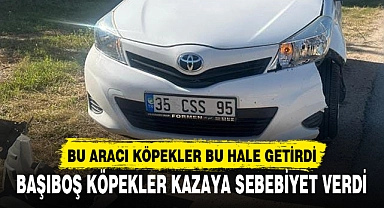 BU ARACI KÖPEKLER BU HALE GETİRDİ