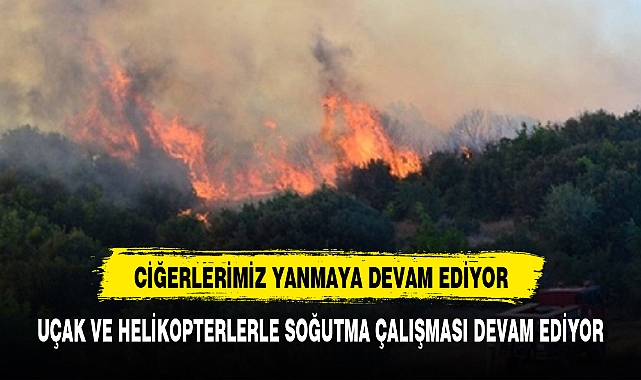 CİĞERLERİMİZ YANDI