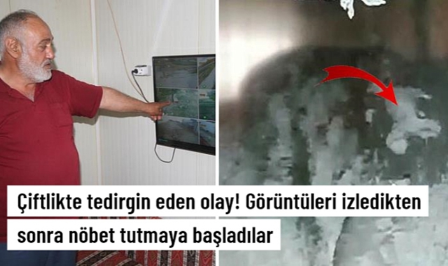 ÇİFTLİKTE TEDİRGİN EDEN OLAY!