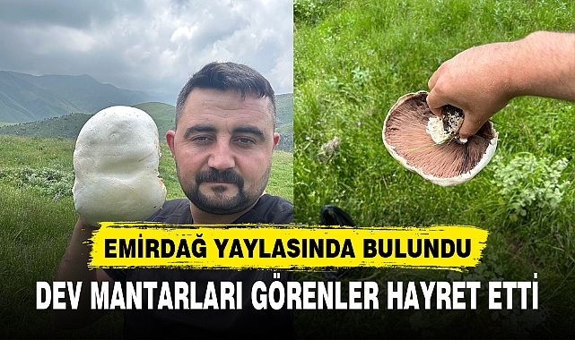 DEV MANTARLARI GÖRENLER HAYRET ETTİ