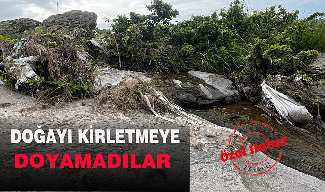 DOĞAYI KİRLETMEYE DOYAMADILAR