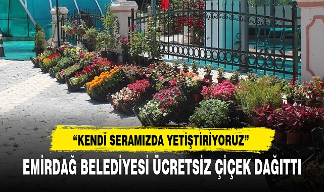 EMİRDAĞ BELEDİYESİ ÜCRETSİZ ÇİÇEK DAĞITTI