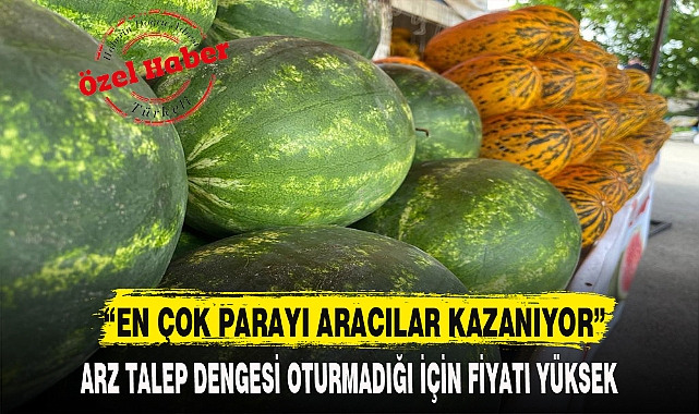 "EN ÇOK PARAYI ARACILAR KAZANIYOR"