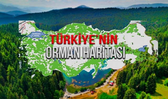 EN YEŞİL KENTLER: ANTALYA, KARABÜK, TUNCELİ