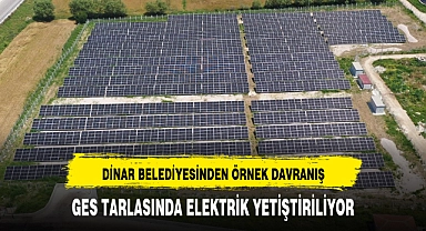 GES TARLASINDA ELEKTRİK YETİŞTİRİLİYOR