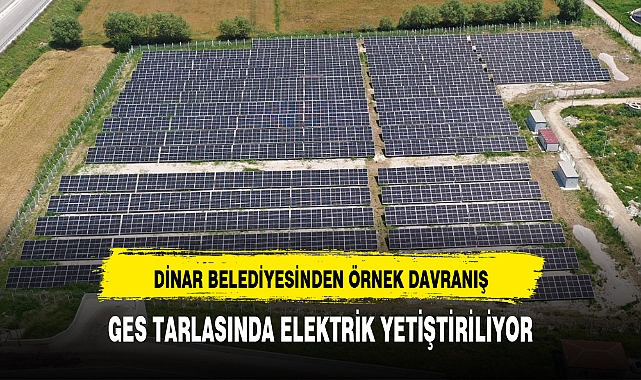GES TARLASINDA ELEKTRİK YETİŞTİRİLİYOR