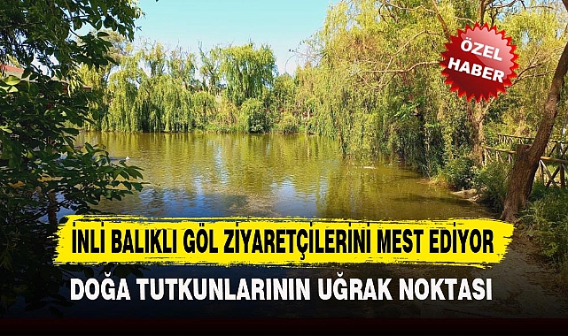 İNLİ BALIKLI GÖL ZİYARETÇİLERİNİ MEST EDİYOR