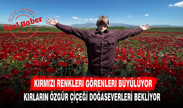KIRMIZI RENKLERİ GÖRENLERİ BÜYÜLÜYOR