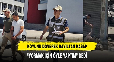 KOYUNU DÖVEREK BAYILTTI