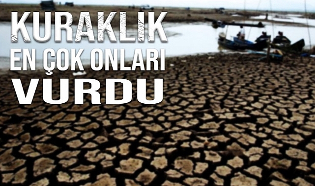 KURAKLIK EN ÇOK PAMUK, AYÇİÇEĞİ VE BUĞDAYI VURDU