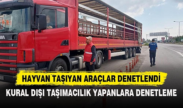 KURAL DIŞI TAŞIMACILIK YAPANLARA DENETLEME