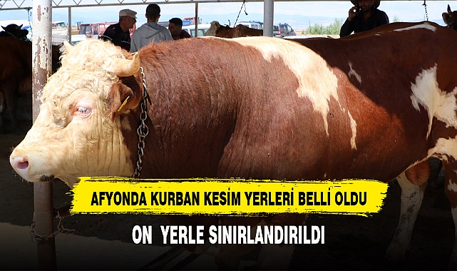 AFYON'DA KURBAN KESECEKLER DİKKAT