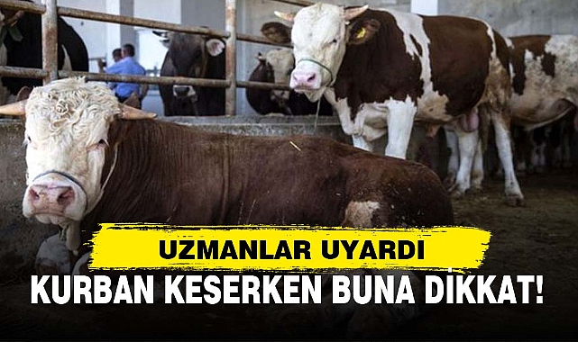KURBAN KESERKEN BUNA DİKKAT!