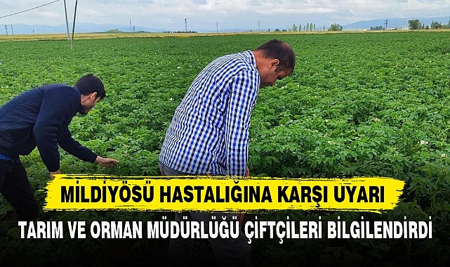 MİLDİYÖSÜ HASTALIĞINA KARŞI UYARI