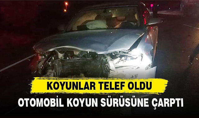 OTOMOBİL KOYUN SÜRÜSÜNE ÇARPTI