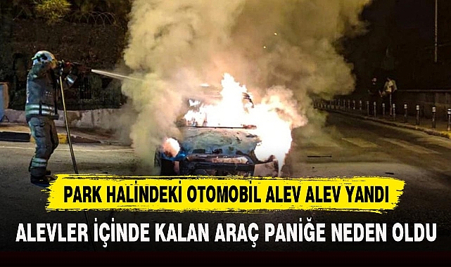 PARK HALİNDEKİ OTOMOBİL ALEV ALEV YANDI