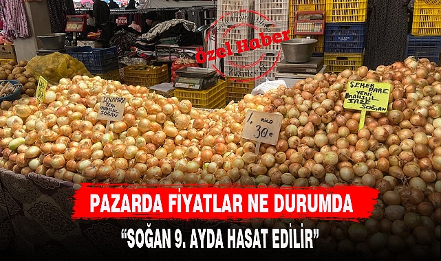 PAZARDA FİYATLAR NE DURUMDA!