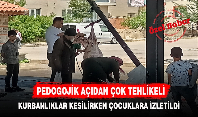 PEDOGOJİK AÇIDAN ÇOK TEHLİKELİ