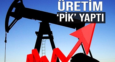 PETROLDE YENİ KEŞİFLER REKOR GETİRDİ