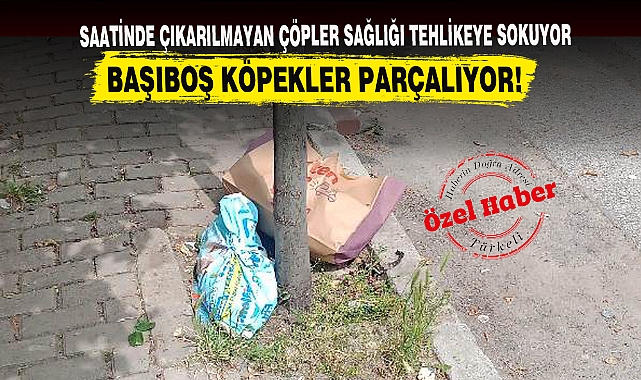 SAATİNDE ÇIKARILMAYAN ÇÖPLER SAĞLIĞI TEHLİKEYE SOKUYOR