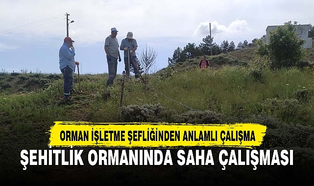 ŞEHİTLİK ORMANINDA SAHA ÇALIŞMASI