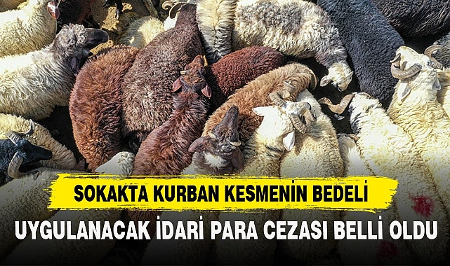 SOKAKTA KURBAN KESMENİN BEDELİ