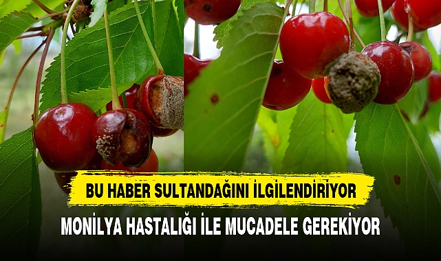 SULTANDAĞINDA MUCADELE GEREKİYOR