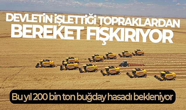 TÜRKİYE'NİN TAHIL AMBARINDA BU YIL 200 BİN TON BUĞDAY HASADI BEKLENİYOR