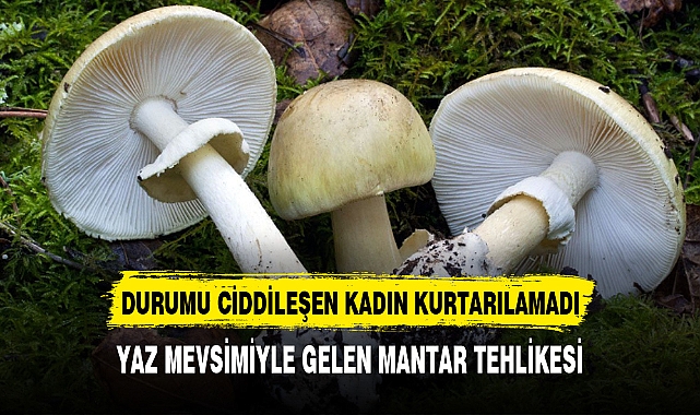 MANTARDAN ZEHİRLENEN KADIN ÖLDÜ