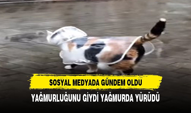 YAGMURLUĞUNU GİYDİ SOSYAL MEDYADA GÜNDEM OLDU