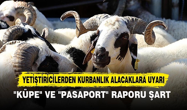 YETİŞTİRİCİLERDEN KURBANLIK ALACAKLARA UYARI
