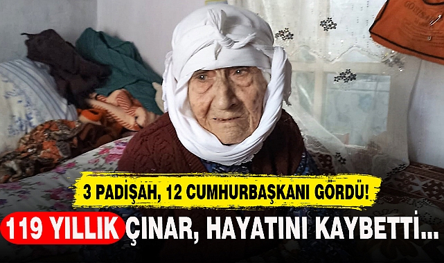 119 YILLIK ÇINAR HAYATINI KAYBETTİ
