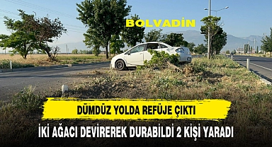 2 AĞACI DEVİRDİ 2 KİŞİ YARALANDI