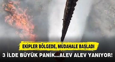 3 İLDE BÜYÜK PANİK...ALEV ALEV YANIYOR!