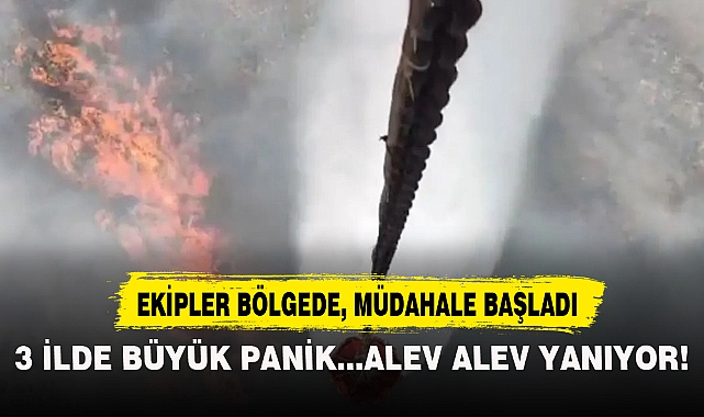 3 İLDE BÜYÜK PANİK...ALEV ALEV YANIYOR!