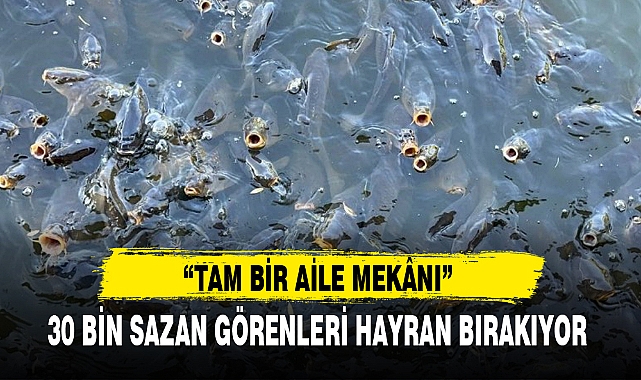 30 BİN SAZAN GÖRENLERİ HAYRAN BIRAKIYOR