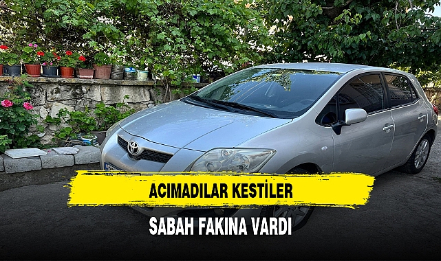 ACIMADILAR KESTİLER