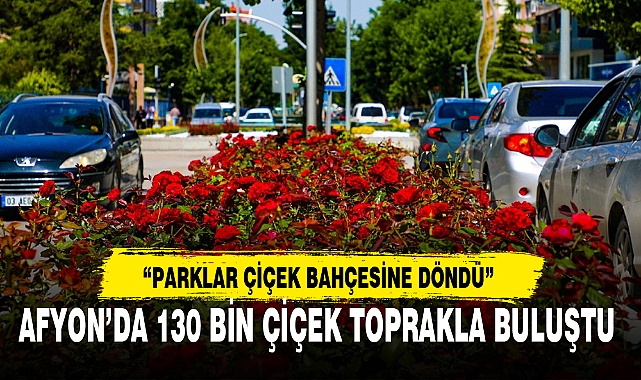 AFYON'DA 130 BİN ÇİÇEK TOPRAKLA BULUŞTU