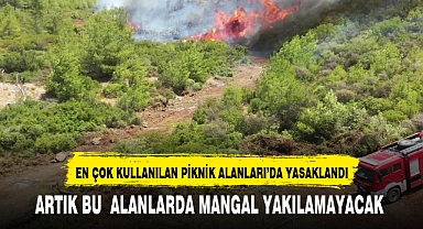 AFYON'DA BU ORMANLIK ALANLARA DA YASAK GELDİ