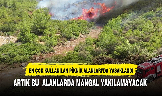 AFYON'DA BU ORMANLIK ALANLARA DA YASAK GELDİ