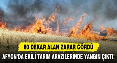 AFYON’DA EKİLİ TARIM ARAZİLERİNDE YANGIN ÇIKTI!