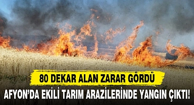 AFYON’DA EKİLİ TARIM ARAZİLERİNDE YANGIN ÇIKTI!
