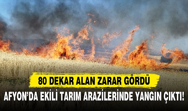 AFYON’DA EKİLİ TARIM ARAZİLERİNDE YANGIN ÇIKTI!