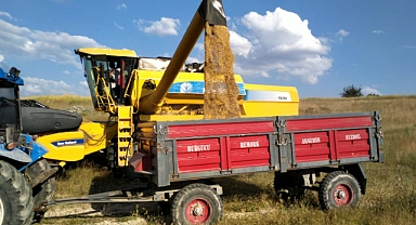 AFYON'DA HASAT SEZONU BAŞLADI