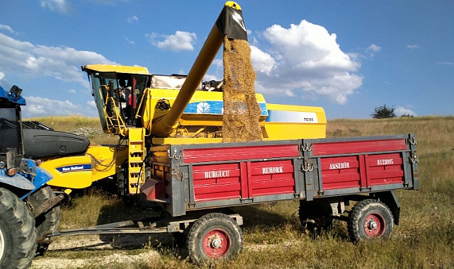 AFYON'DA HASAT SEZONU BAŞLADI