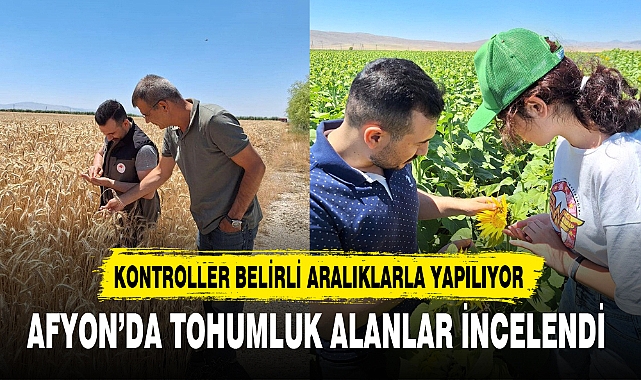 AFYON’DA TOHUMLUK ALANLAR İNCELENDİ